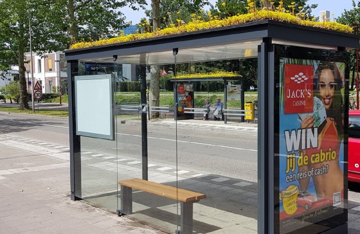 Aux Pays-Bas, des toits d'arrt d'autobus sont amnags pour faire venir les abeilles