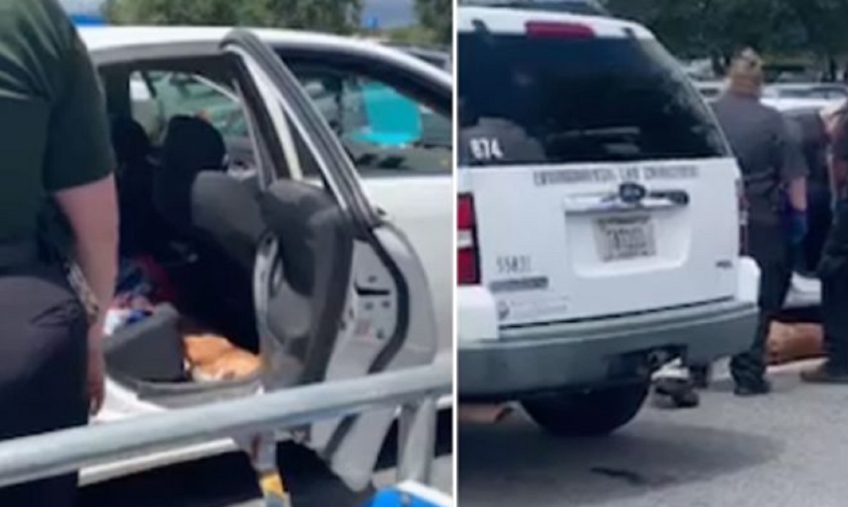 Une femme est accuse aprs avoir laiss son chien mourir de chaud dans la voiture