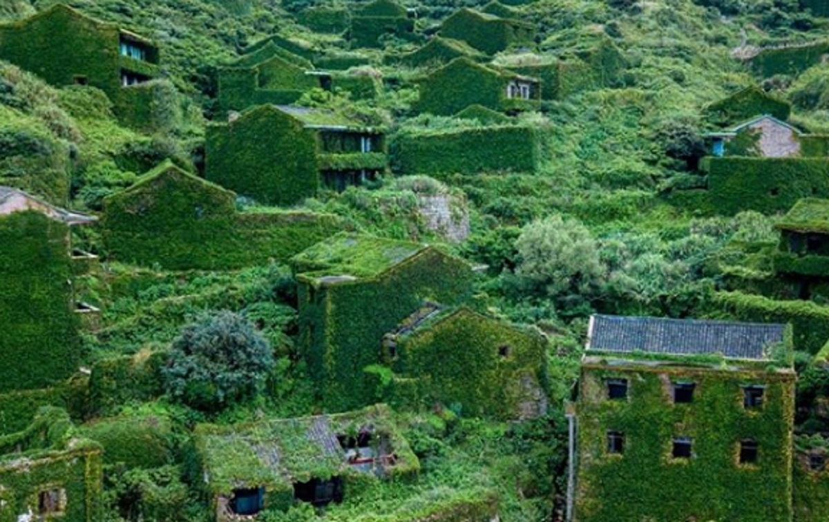 La nature a compltement repris ses droits dans ce village chinois